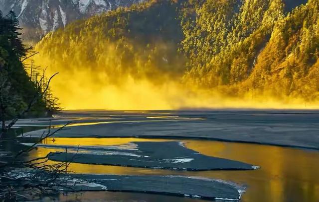 道德经悟道技巧，树袋熊大话助读《道德经》第十六章