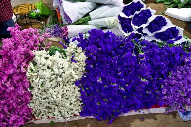 便宜又实惠的鲜花市场，打卡全国最大的鲜花批发市场