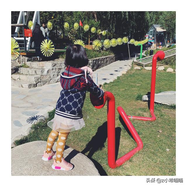 塞伦盖蒂大草原，塞伦盖蒂大草原和克鲁格公园