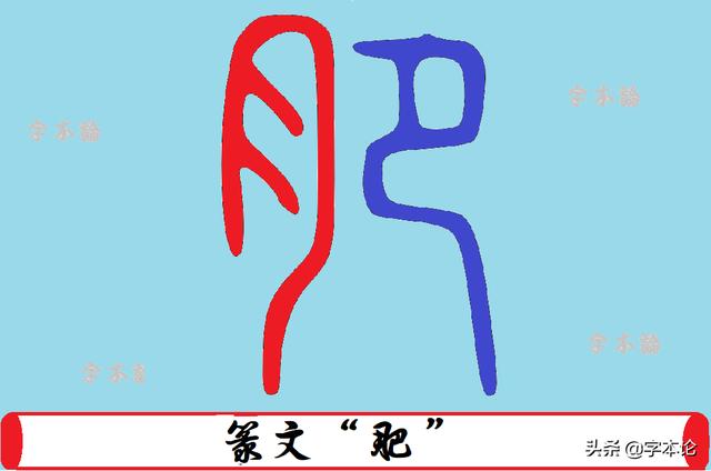 肥胖俩字(肥胖两字与什么有关)