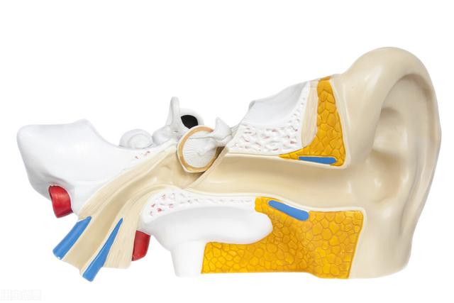 孩子前庭发育不好如何解决，儿童前庭失调的表现与训练方法概述