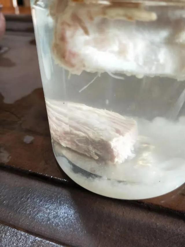 太岁肉灵芝为什么那么稀有，真假太岁肉灵芝的知识论述