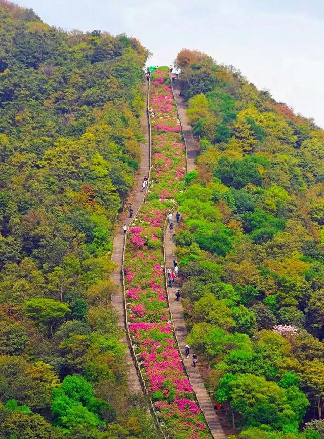 广东十座海拔最高的山，为什么都说广东人游广东先游广东第一峰