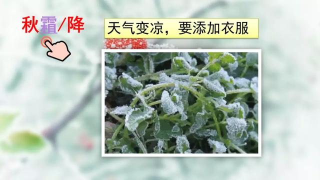 人教版一年级下语文识字表，一年级语文下册写字表<拼音