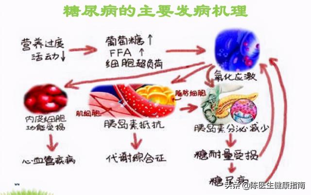 糖尿病性功能维持几年(糖尿病性功能障碍的治疗)