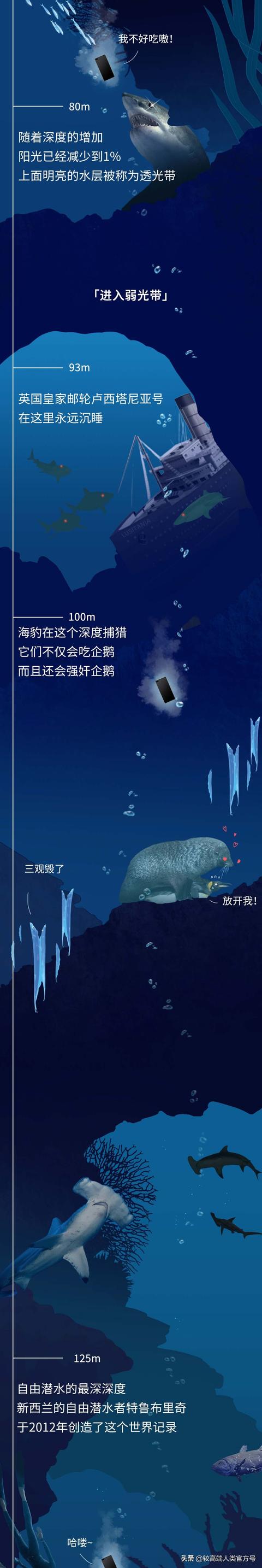 深海探秘16种奇特生物你见过几种，潜入海底一万米