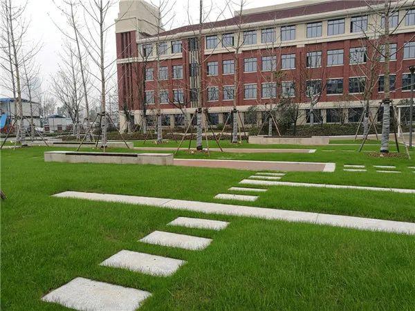 合肥48中是公办的吗，2023年合肥优质中小学名单推荐