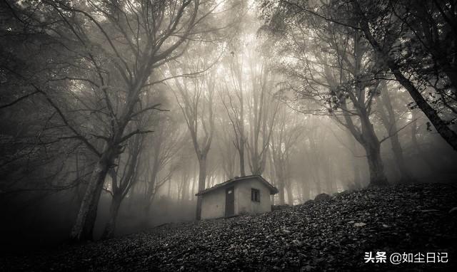 恐怖微小说一千字左右（恐怖小说短篇小说：幽灵照片）