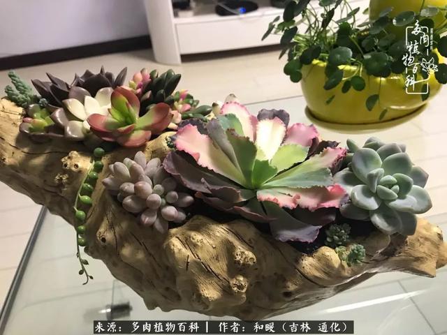 买肉，买肉的正确方法和注意事项