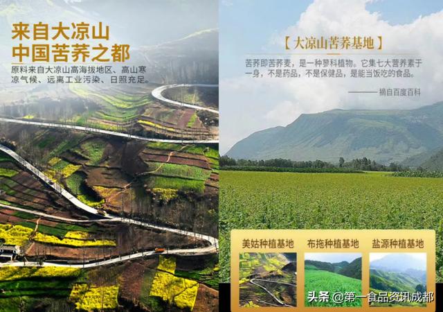 苦荞哪个品牌比较好，三匠苦荞五大创新产品首发