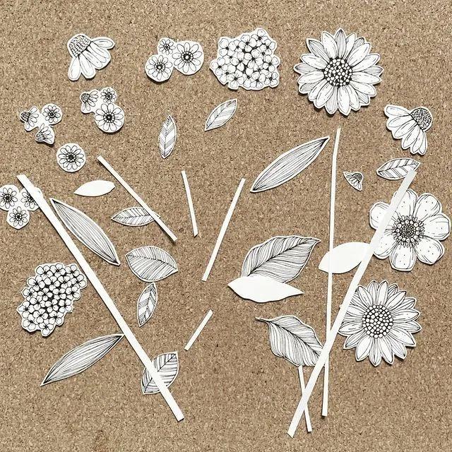 妙笔生花水墨画教程，教科书级别的植物线描