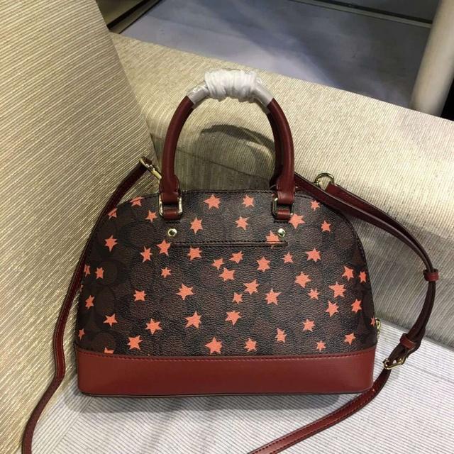 适合年轻女性的轻奢包包品牌，给你推荐十款欧美女士品牌包包