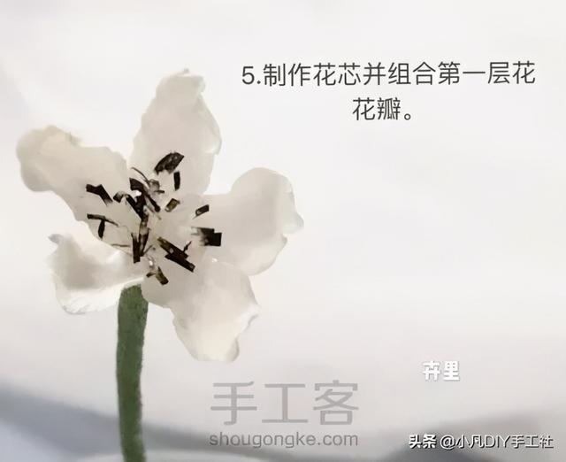 怎么做纸花而且最简单，几种简单折纸花教程