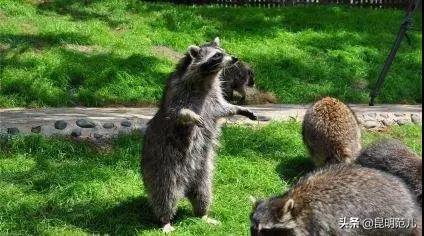 昆明旅游经典路线，5条玩转昆明的最佳线路