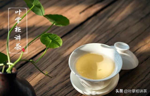 福建铁观音是什么茶，铁观音是红茶还是绿茶