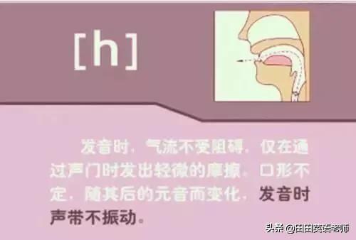 英语音标怎么学，初学英语者必看如何学习国际音标（资深老教师说：音标就该这样学）