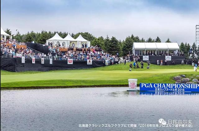 高尔夫球怎么打，怎样打高尔夫球入门（站都不对那球肯定打不好）