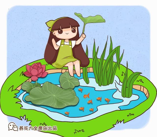 庭院水景观怎么设计，庭院中式元素—叠水