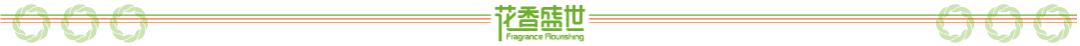 小篮球比赛规则，小篮球比赛规则详解（小篮球究竟“小”在哪里）