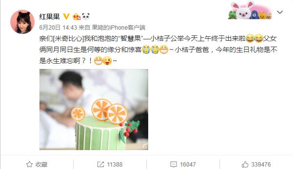 红果果和绿泡泡，红果果绿泡泡的真实关系（蹲地上说话满脸慈爱）