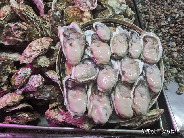 海鲜贝类图鉴，青岛常见食用贝类图鉴大全