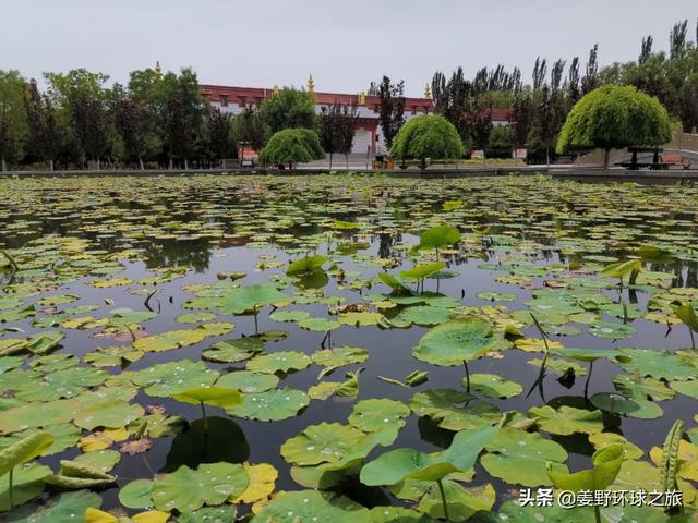 西凉古都凉州，古诗词中常出现的“凉州”是哪