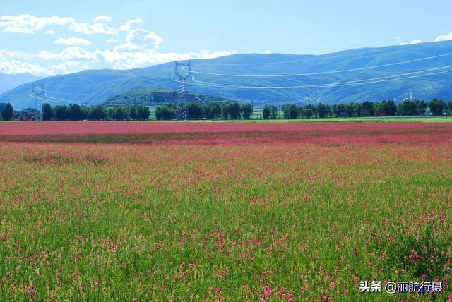 新都桥草原风景，新都桥—塔公草原—雅砻江河谷——迷人的夏季风光