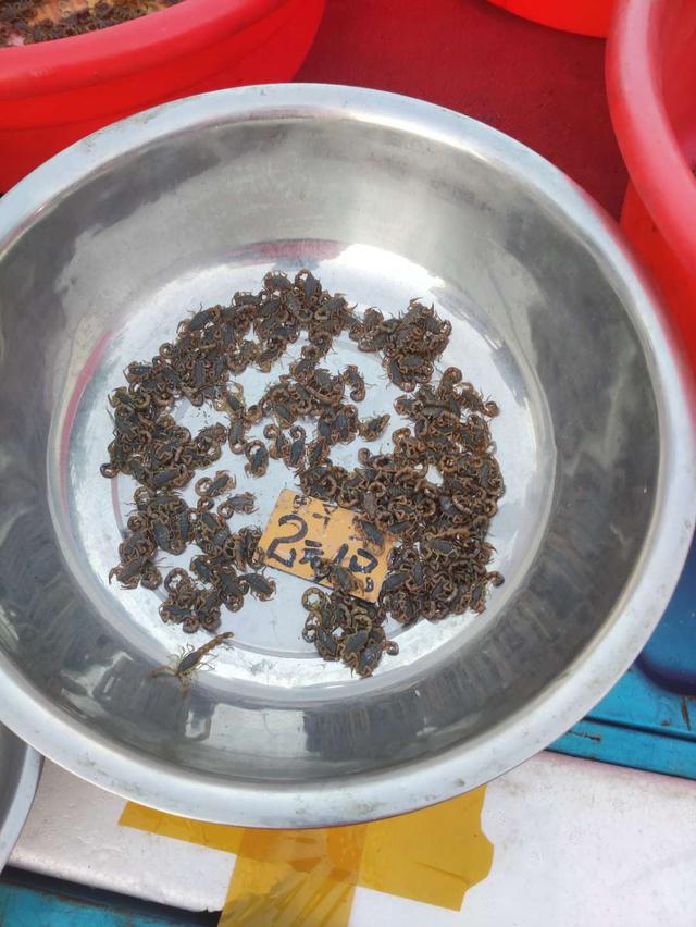 青岛有几个小吃夜市，青岛夜市上这两样重口味东西