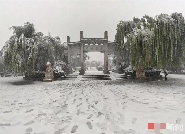厦门下雪是什么样子，一下雪厦门成了厦门府