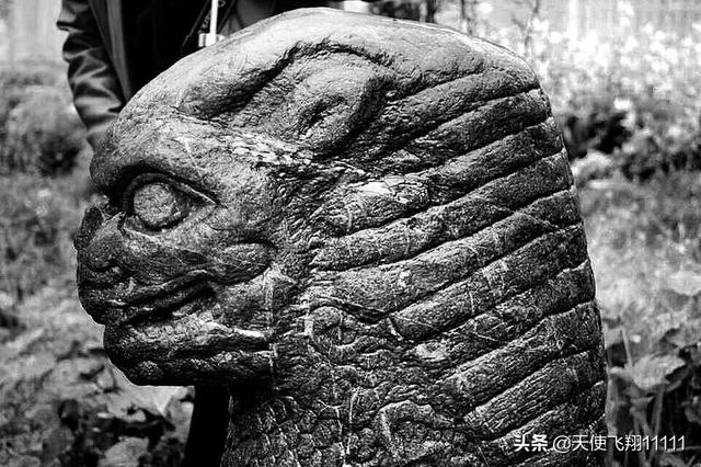 十大最强的神兽，上古十大神兽排行榜（最强的几大上古神兽）