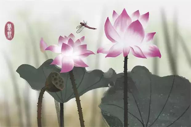 扫地扫地扫心地，佛家净心