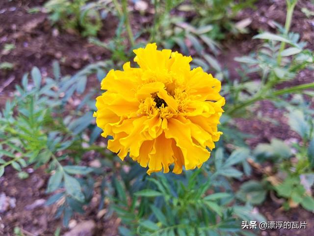 荣耀平板v6几个版本区别，荣耀平板V6评测高性价比平板