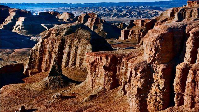黄喉蜂虎最早什么年代出现的，黄喉蜂虎