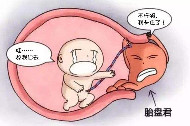 b超结果怎么看，教你怎么看懂b超单（肝病医生帮你快速入门）