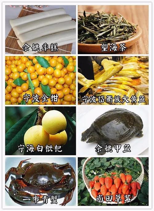 宁波绍兴主要特产，浙江宁波特产什么好吃