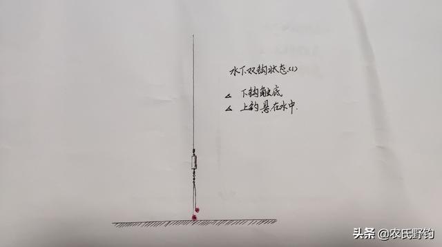 钓鲮鱼怎么选钓点，老钓友教你如何钓鲮鱼