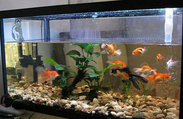 庭院水景观怎么设计，庭院中式元素—叠水