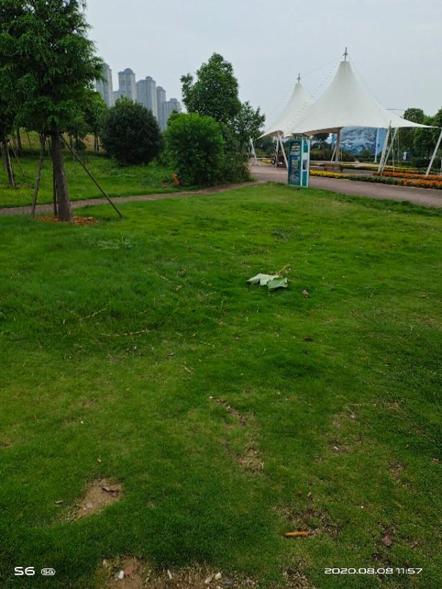 我的爱情观1000字，我的爱情观