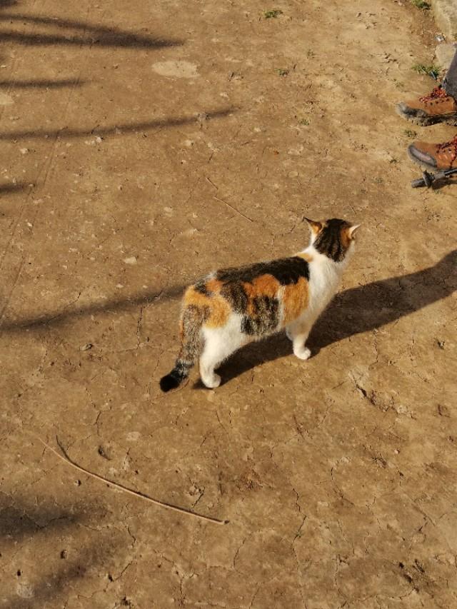 抱龙峪穿子午峪，子午峪-五道梁