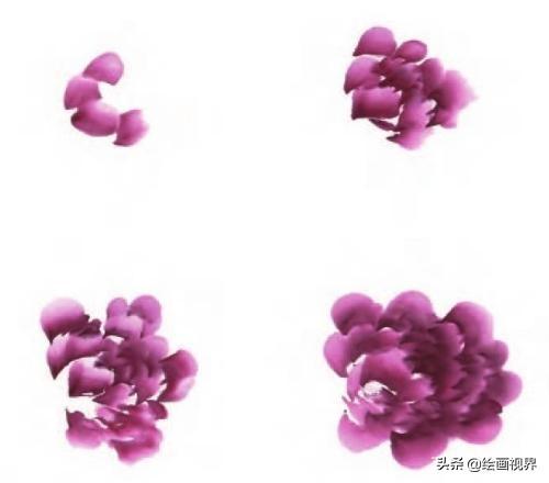 牡丹画法的12种步骤，钛白、藤黄、朱磦、颜料准备好