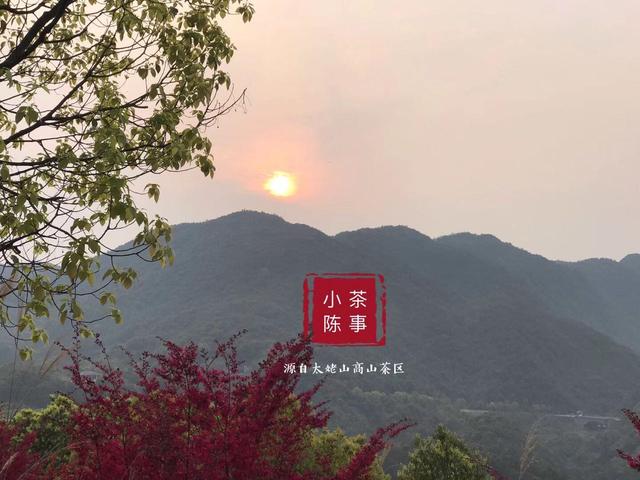 明前茶和雨前茶的区别，什么是明前茶什么是雨前茶（明前茶和雨前茶有什么区别）