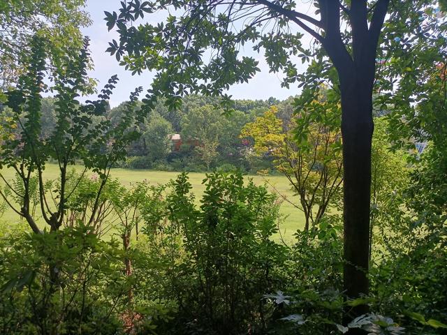 长沙市内十大公园，长沙本地人告诉你这10个地方不能少