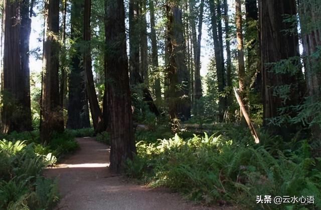 魏源的经典诗词，魏野的两首绝句