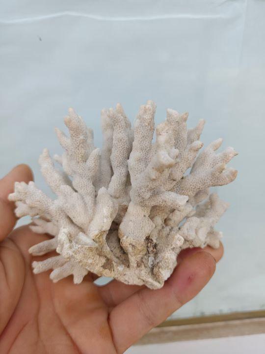 为什么很多人去印尼打工，记录印尼打工生活点滴