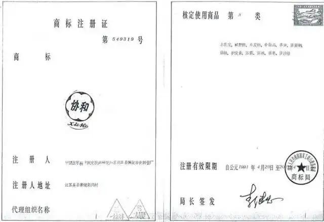 协和维生素e乳，北京协和维e乳护肤品是什么（两种维e乳对比）