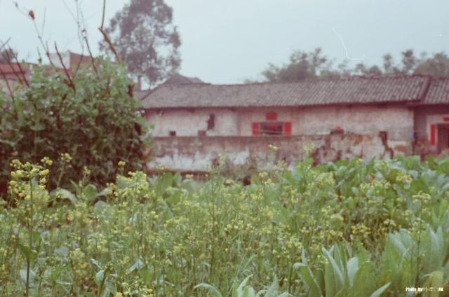 客家人属于哪个民族，客家人是哪几个民族的人（客家人属于哪族人）