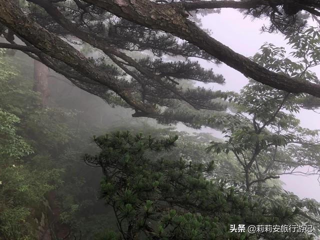 徒步南迦巴瓦峰最佳观景台，雾中徒步薄刀峰