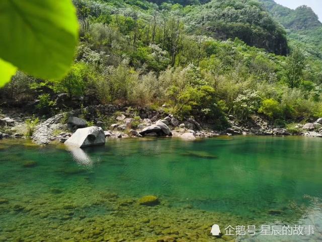 八里沟景区马蜂窝，八里沟景区一隅