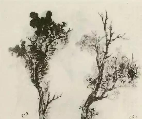树怎么画简单又好看，如何画树简单又漂亮（水彩唯美风景画，手把手教你画）