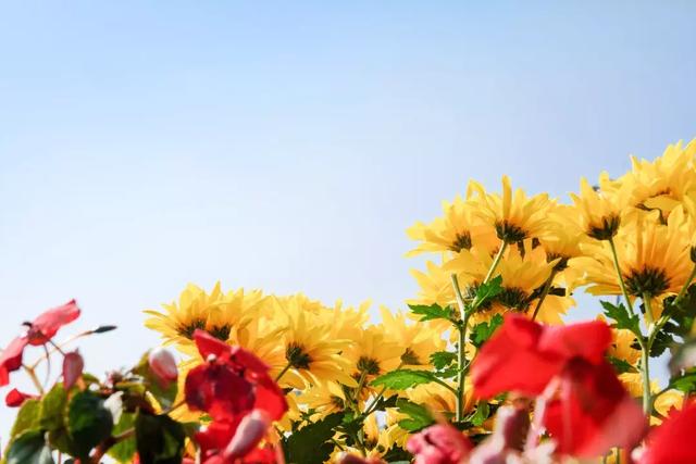 深圳世界之窗好玩吗，深圳世界之窗让你一天游遍全世界